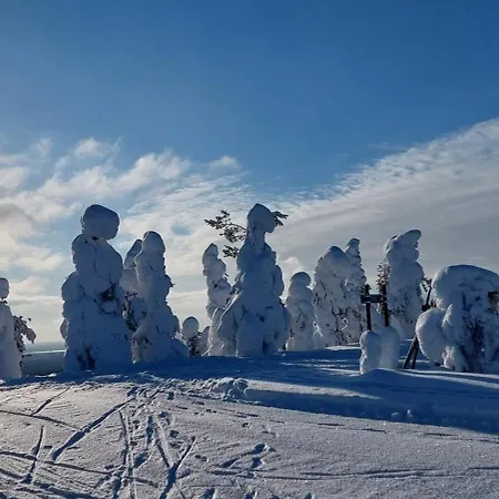Ylläs Ix 9502