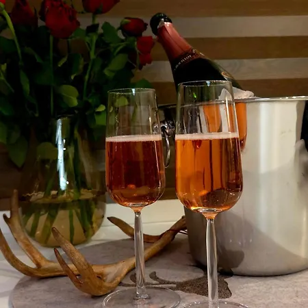 Yllaes Ix 9502 * Kolari