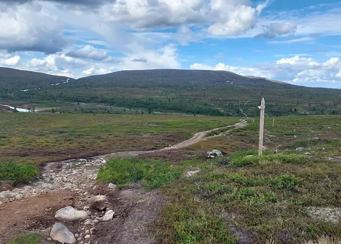 아파트 Yllaes Ix 9502 콜라리