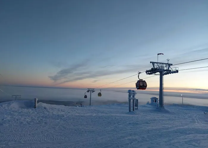 Yllaes Ix 9502 아파트 콜라리