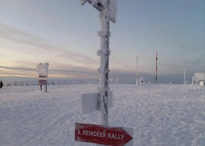 Yllaes Ix 9502 아파트 콜라리