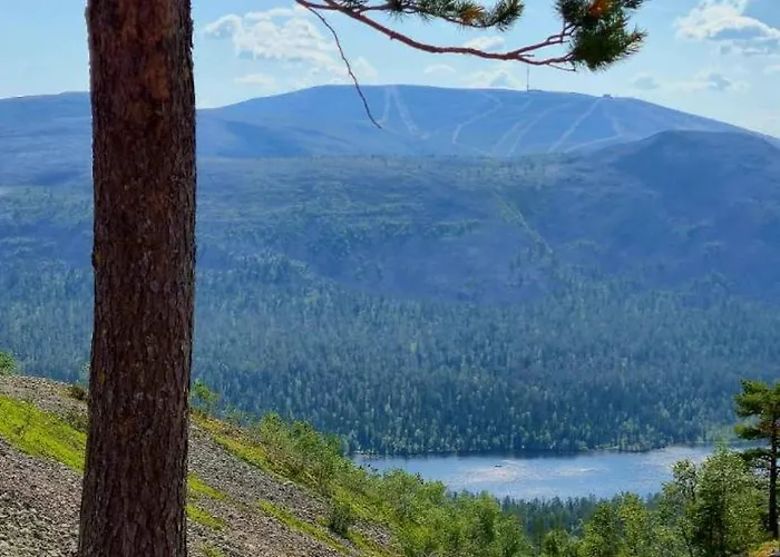 Yllaes Ix 9502 * 콜라리