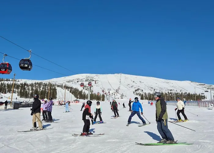 Yllaes Ix 9502 콜라리